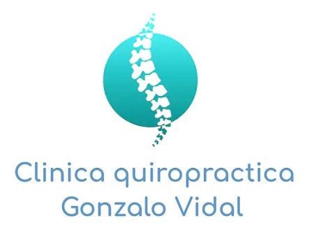 quiropractico gonzalo vidal