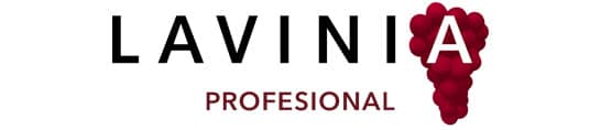 mejores-tiendas-vino-madrid-lavinia