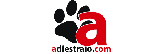 adiestralo.com adiestrador perros madrid