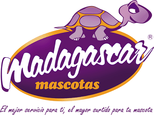 madagascar mascotas adiestrador perros alicante
