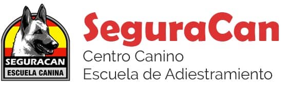 segura can adiestrador perros alicante